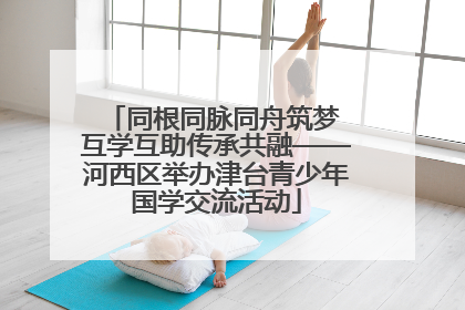 同根同脉同舟筑梦 互学互助传承共融——河西区举办津台青少年国学交流活动