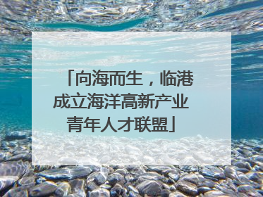 向海而生，临港成立海洋高新产业青年人才联盟