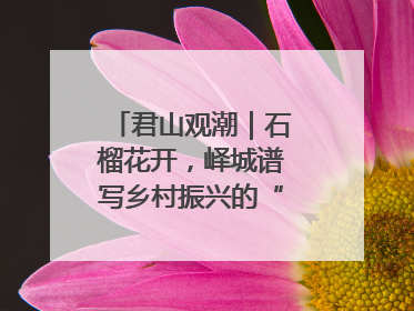 君山观潮｜石榴花开，峄城谱写乡村振兴的“新”篇章