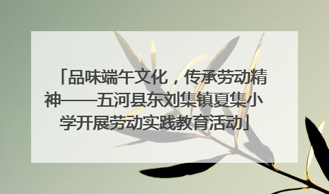 品味端午文化，传承劳动精神——五河县东刘集镇夏集小学开展劳动实践教育活动