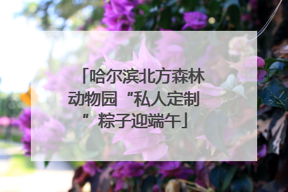 哈尔滨北方森林动物园“私人定制”粽子迎端午