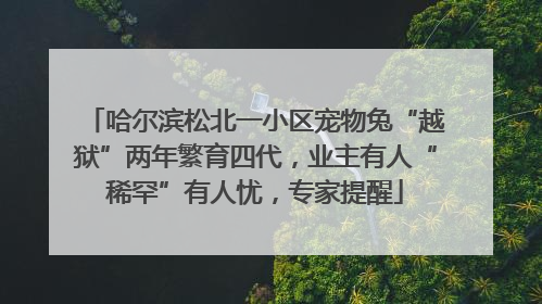 哈尔滨松北一小区宠物兔“越狱”两年繁育四代，业主有人“稀罕”有人忧，专家提醒