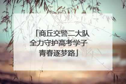 商丘交警二大队全力守护高考学子青春逐梦路