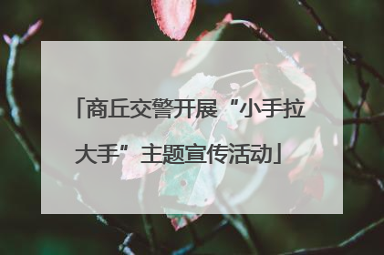 商丘交警开展“小手拉大手”主题宣传活动