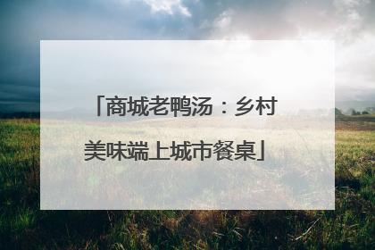商城老鸭汤：乡村美味端上城市餐桌