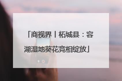 商视界丨柘城县：容湖湿地葵花竞相绽放