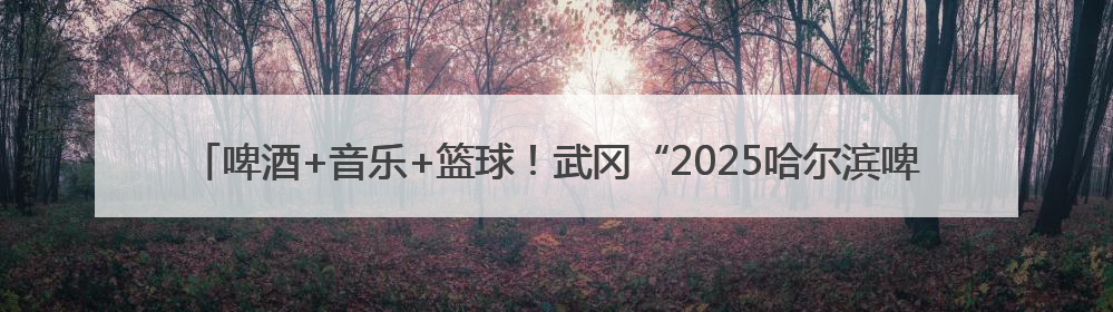 啤酒+音乐+篮球！武冈“2025哈尔滨啤酒音乐嘉年华”启幕，古城潮出文旅新活力