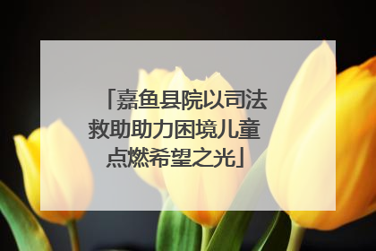 嘉鱼县院以司法救助助力困境儿童点燃希望之光