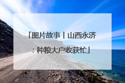 图片故事丨山西永济：种粮大户收获忙