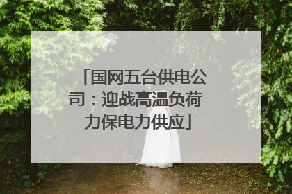 国网五台供电公司：迎战高温负荷 力保电力供应