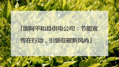 国网平和县供电公司：节能宣传在行动，引领低碳新风尚