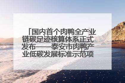国内首个肉鸭全产业链碳足迹核算体系正式发布——泰安市肉鸭产业低碳发展标准示范项目顺利通过验收