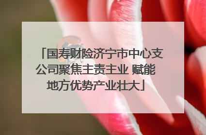 国寿财险济宁市中心支公司聚焦主责主业 赋能地方优势产业壮大