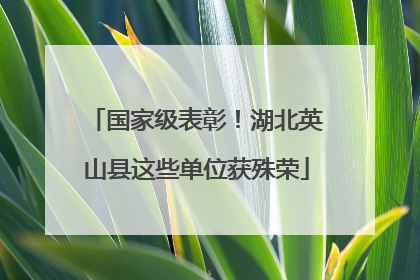 国家级表彰！湖北英山县这些单位获殊荣