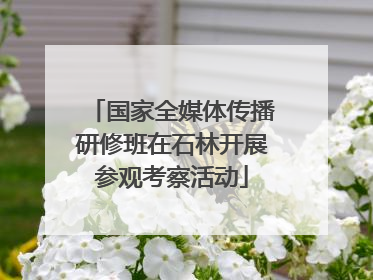 国家全媒体传播研修班在石林开展参观考察活动
