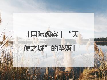 国际观察｜“天使之城”的坠落