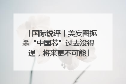 国际锐评丨美妄图扼杀“中国芯”过去没得逞，将来更不可能