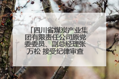 四川省煤炭产业集团有限责任公司原党委委员、副总经理张万松 接受纪律审查和监察调查