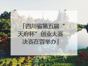四川省第五届“天府杯”创业大赛决赛在蓉举办