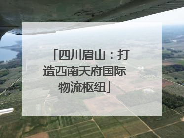 四川眉山：打造西南天府国际物流枢纽
