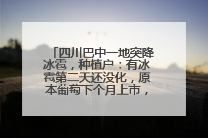 四川巴中一地突降冰雹，种植户：有冰雹第二天还没化，原本葡萄下个月上市，现在全被打落