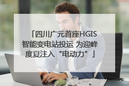 四川广元首座HGIS智能变电站投运 为迎峰度夏注入“电动力”