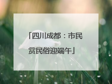 四川成都：市民赏民俗迎端午