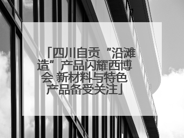 四川自贡“沿滩造”产品闪耀西博会 新材料与特色产品备受关注