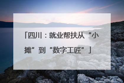 四川：就业帮扶从“小摊”到“数字工匠”