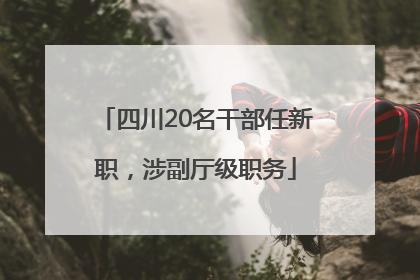 四川20名干部任新职，涉副厅级职务