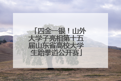 四金一银！山外大学子亮相第十五届山东省高校大学生跆拳道公开赛