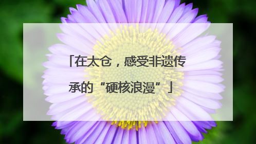 在太仓，感受非遗传承的“硬核浪漫”