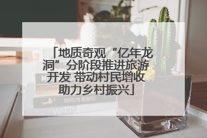 地质奇观“亿年龙洞”分阶段推进旅游开发 带动村民增收助力乡村振兴