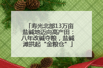 寿光北部13万亩盐碱地迈向高产田：八年改碱夺粮，盐碱滩拱起“金粮仓”