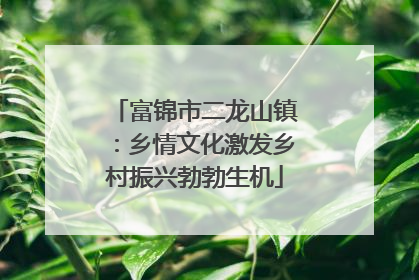 富锦市二龙山镇：乡情文化激发乡村振兴勃勃生机