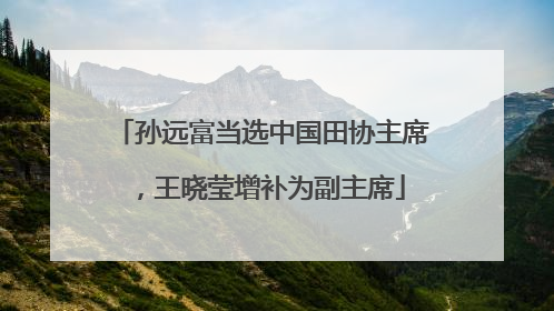 孙远富当选中国田协主席，王晓莹增补为副主席