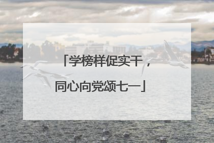 学榜样促实干，同心向党颂七一