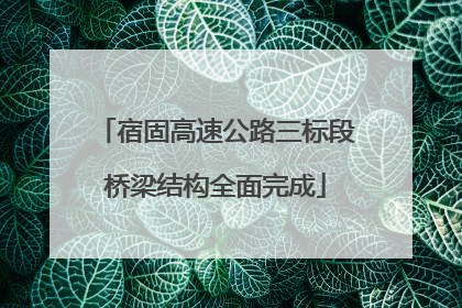 宿固高速公路三标段桥梁结构全面完成