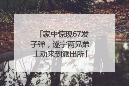 家中惊现67发子弹，遂宁两兄弟主动来到派出所