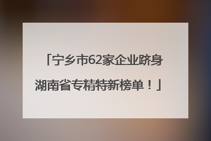 宁乡市62家企业跻身湖南省专精特新榜单！