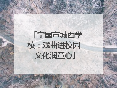 宁国市城西学校：戏曲进校园 文化润童心