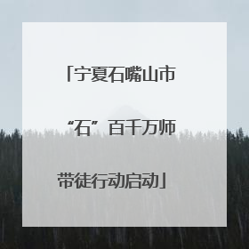 宁夏石嘴山市“石”百千万师带徒行动启动