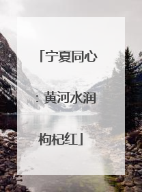 宁夏同心：黄河水润枸杞红