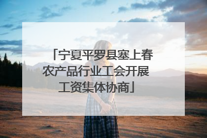 宁夏平罗县塞上春农产品行业工会开展工资集体协商