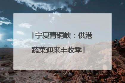 宁夏青铜峡：供港蔬菜迎来丰收季