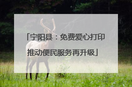 宁阳县：免费爱心打印 推动便民服务再升级
