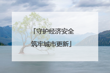 守护经济安全 筑牢城市更新