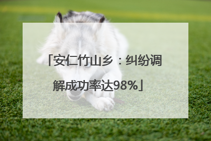 安仁竹山乡：纠纷调解成功率达98%
