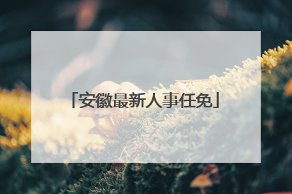 安徽最新人事任免