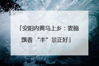安阳内黄马上乡：麦穗飘香 “丰”景正好